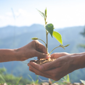 Gestão Ambiental